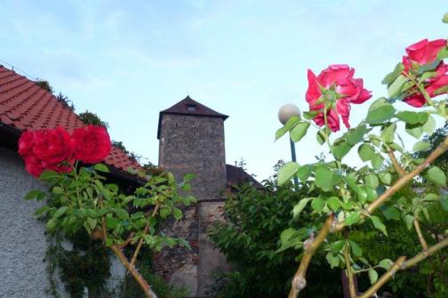 hrad-kvetiny